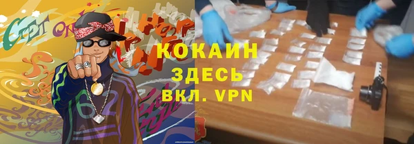 крисы Белокуриха