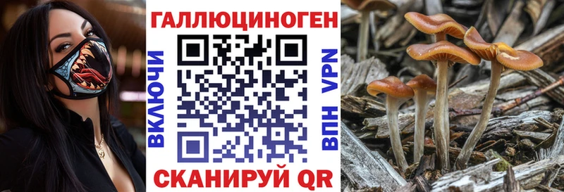 даркнет наркотические препараты  где можно купить наркотик  Нариманов  Псилоцибиновые грибы Cubensis  МЕГА ССЫЛКА 